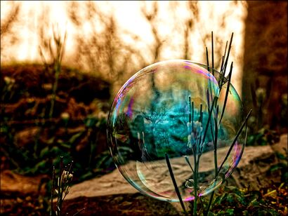 Bubble of life  - a Photographic Art Artowrk by christophe Zambiasi